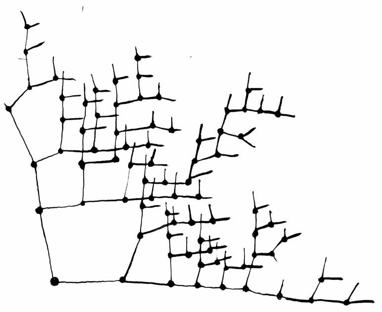 Zeichnung mit vielen Verästelungen - schwarz-weiss - sehr gradlinig